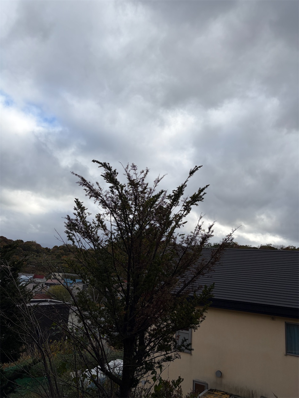 f:id:semaponmikajanoe:20261014142233j:image