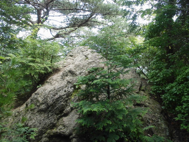 御岩山 ２ 生命体エナジー浄化の会ブログ