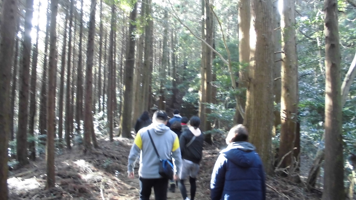 f:id:semeitaienergy:20200901092932j:plain