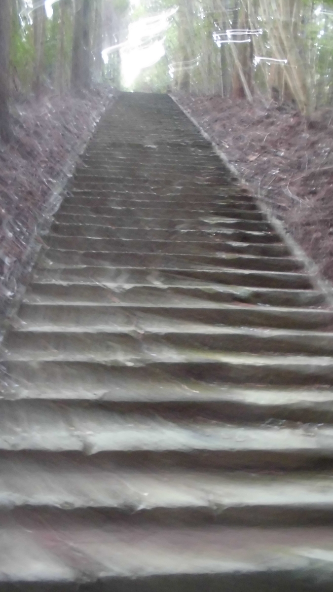 f:id:semeitaienergy:20200901093032j:plain