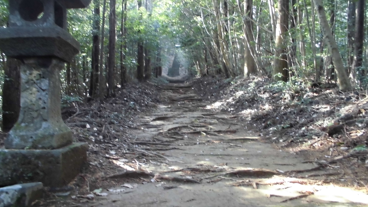 f:id:semeitaienergy:20200901093342j:plain