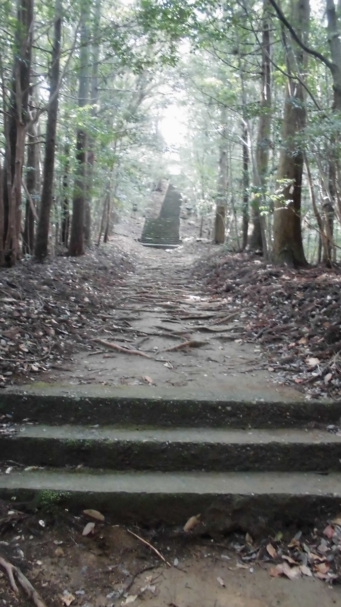 f:id:semeitaienergy:20200901093448j:plain