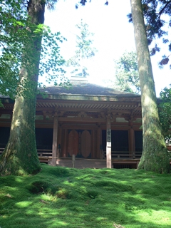 f:id:semeitaienergy:20201124093906j:plain