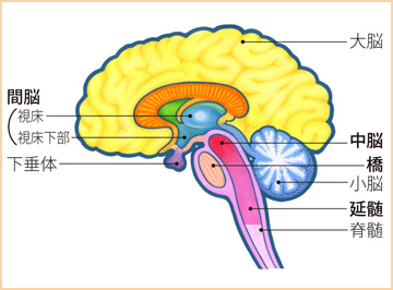 f:id:semeitaienergy:20201207082809j:plain