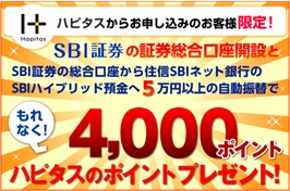 f:id:semi_retire_50:20210206185441j:image
