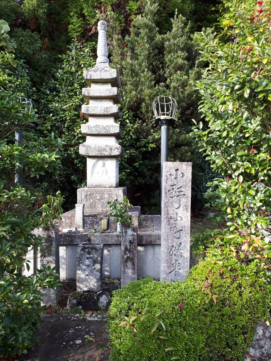 f:id:seminohazuki:20211127190849j:plain