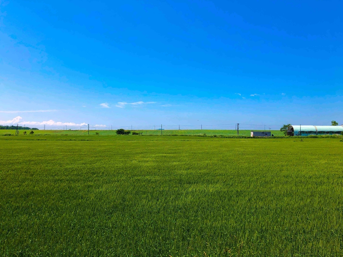 f:id:semiproblog:20190903224159j:plain