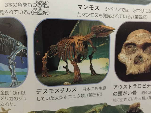 f:id:semuru:20150204033841j:plain