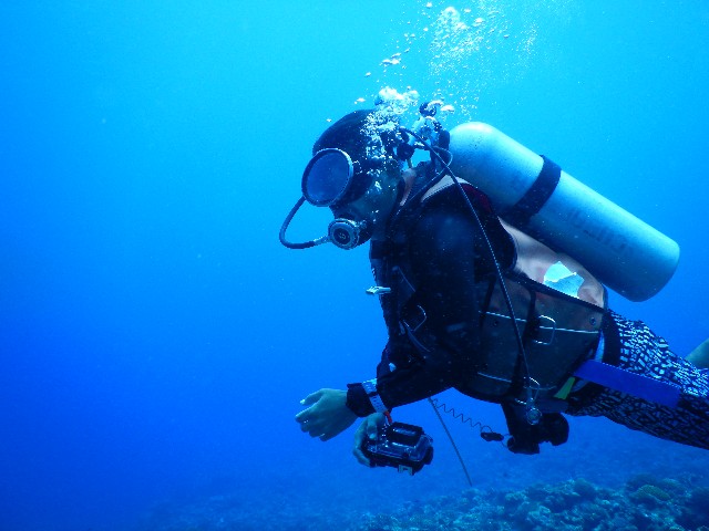 f:id:semuru:20220715155111j:image f:id:semuru:20220715155111j:image