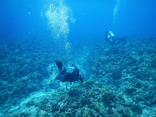 f:id:semuru:20220715155438j:image f:id:semuru:20220715155438j:image