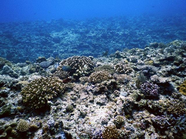 f:id:semuru:20220715155514j:image f:id:semuru:20220715155514j:image