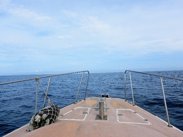 f:id:semuru:20220715155937j:image f:id:semuru:20220715155937j:image