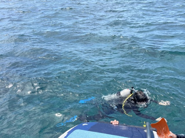 f:id:semuru:20220715165438j:image f:id:semuru:20220715165438j:image