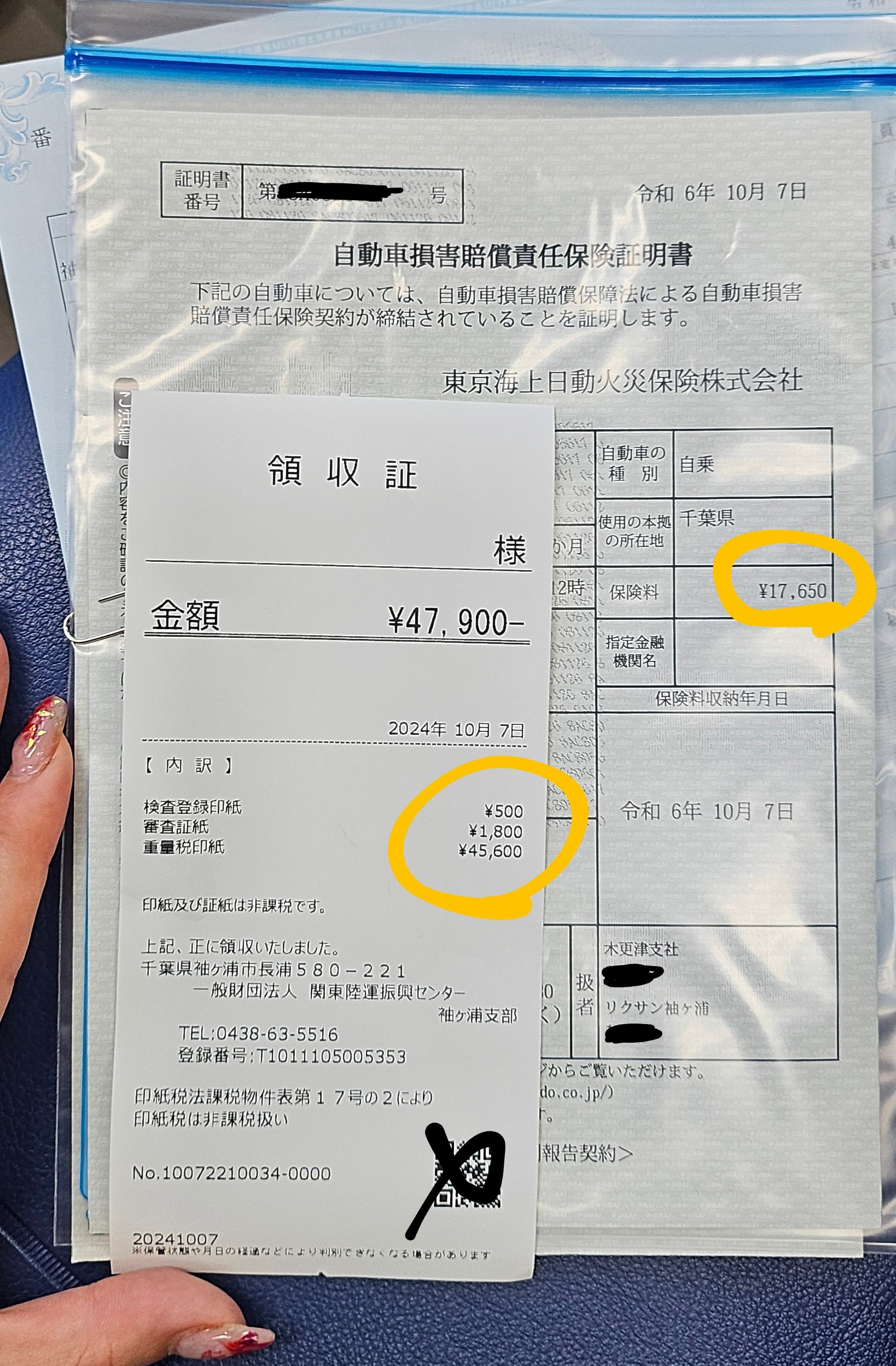 f:id:semuru:20241010083132j:image f:id:semuru:20241010083132j:image