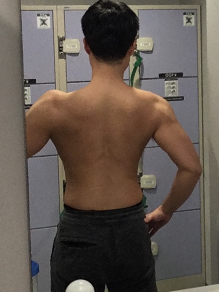 f:id:sen-spring:20190213001912j:plain