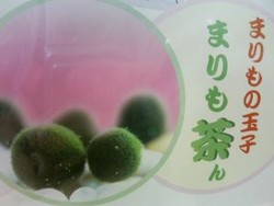 f:id:sen-u:20050629121957:image