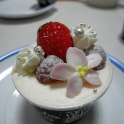 f:id:sen-u:20080120234255j:image