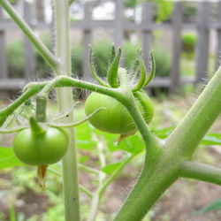 f:id:sen-u:20080620103533j:image