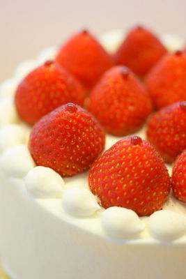 f:id:sen-u:20080621154854j:image