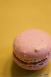 f:id:sen-u:20090113005552j:image