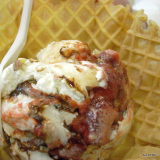 f:id:sen-u:20090119110737j:image