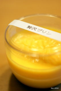 f:id:sen-u:20090304102312j:image