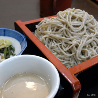 f:id:sen-u:20090316093346j:image