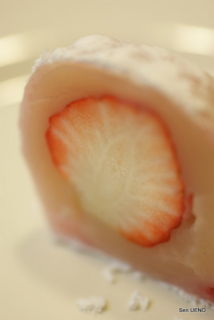 f:id:sen-u:20090317123119j:image
