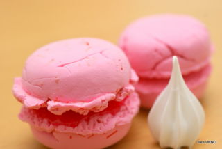 f:id:sen-u:20090428001428j:image