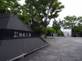 f:id:sen-u:20090521235931j:image