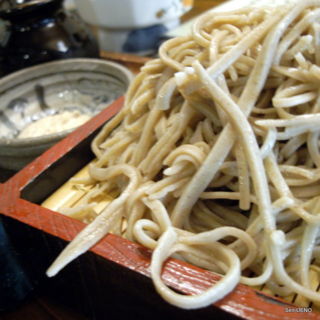 f:id:sen-u:20090524225652j:image