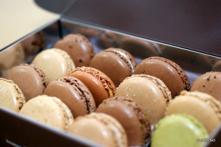 f:id:sen-u:20090607011908j:image