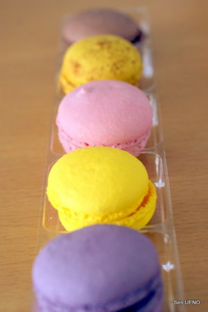 f:id:sen-u:20090608151608j:image