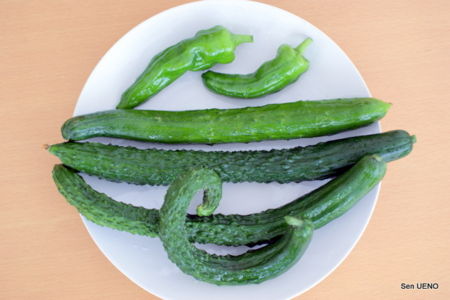 f:id:sen-u:20090616090604j:image