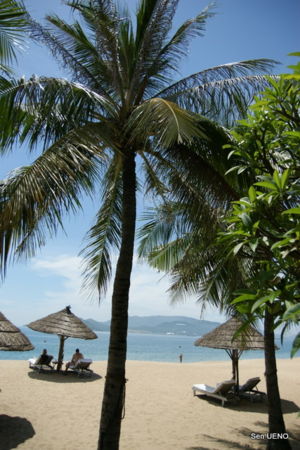 f:id:sen-u:20090630093412j:image