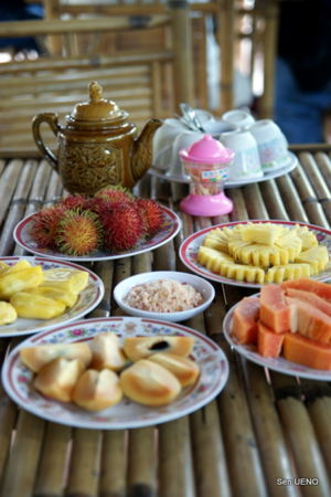 f:id:sen-u:20090630093557j:image