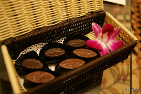 f:id:sen-u:20090630095123j:image