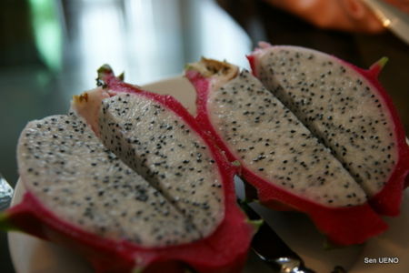 f:id:sen-u:20090630095152j:image