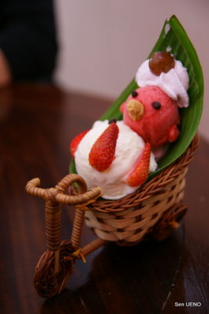 f:id:sen-u:20090630095242j:image