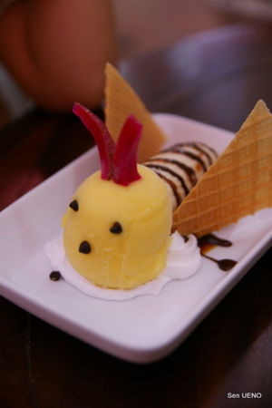 f:id:sen-u:20090630095247j:image
