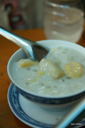 f:id:sen-u:20090630095343j:image