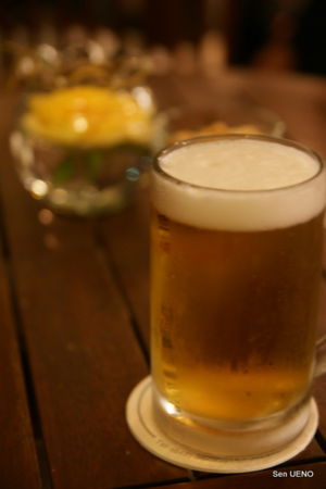 f:id:sen-u:20090630095454j:image
