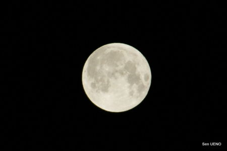 f:id:sen-u:20090708011426j:image