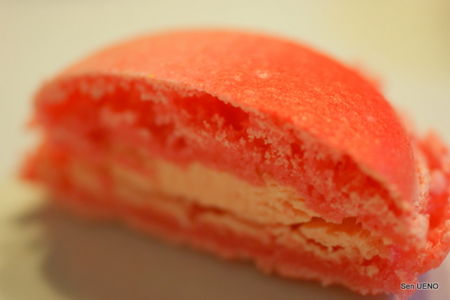 f:id:sen-u:20090711150618j:image