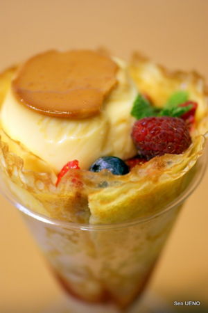 f:id:sen-u:20090812013708j:image
