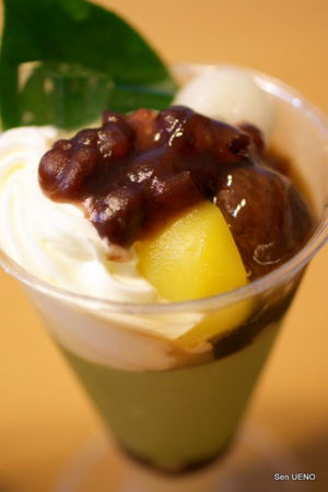 f:id:sen-u:20090812013710j:image