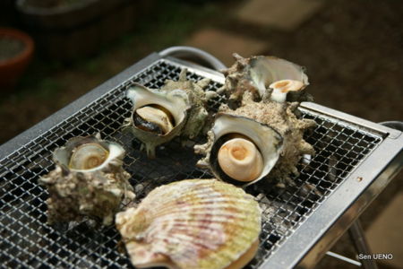 f:id:sen-u:20090824164839j:image