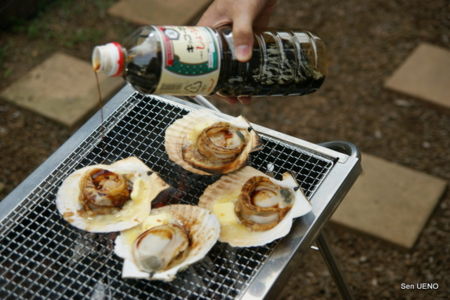 f:id:sen-u:20090824164840j:image