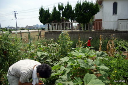 f:id:sen-u:20090824164841j:image