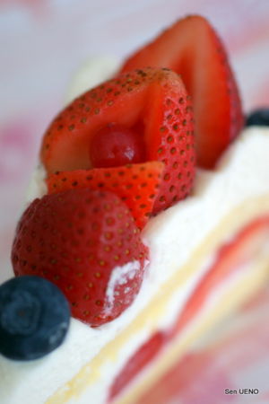 f:id:sen-u:20090831012619j:image f:id:sen-u:20090831012619j:image